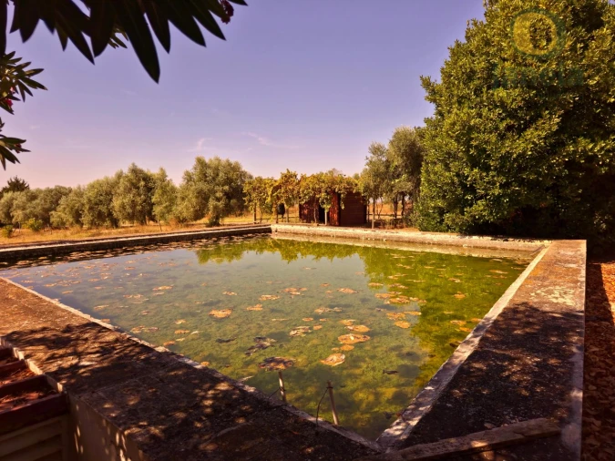 Quinta T7 para Venda em Ferreira do Alentejo e Canhestros Foto 44