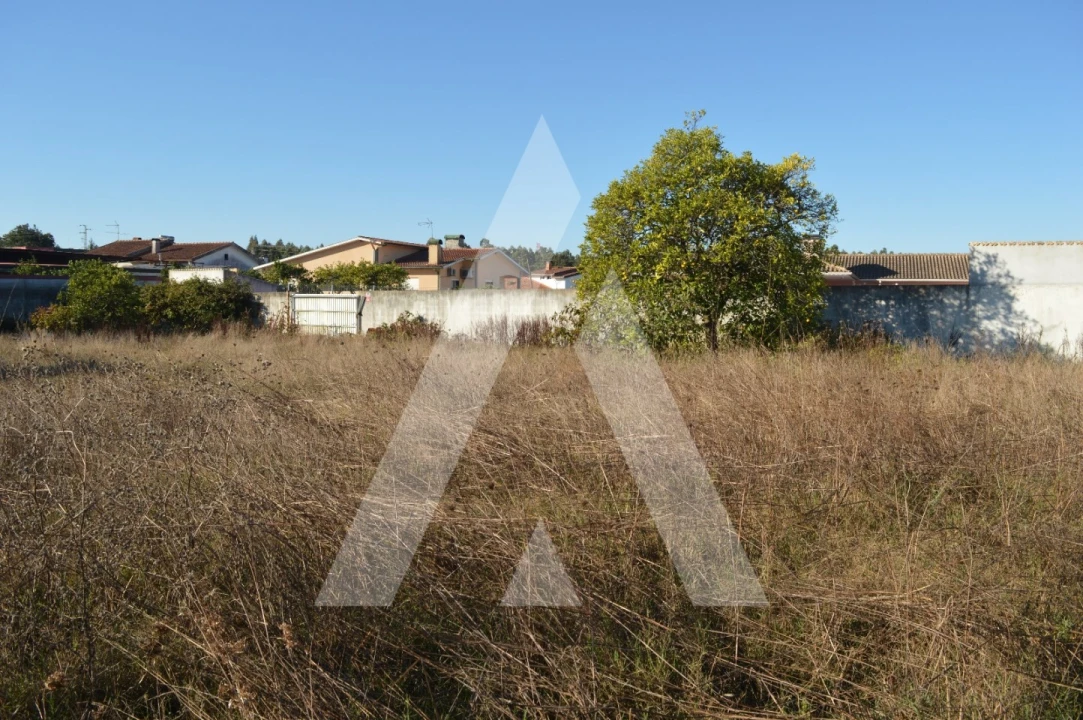 Moradia T3 para Venda em Trofa, Segadães e Lamas do Vouga Foto 27