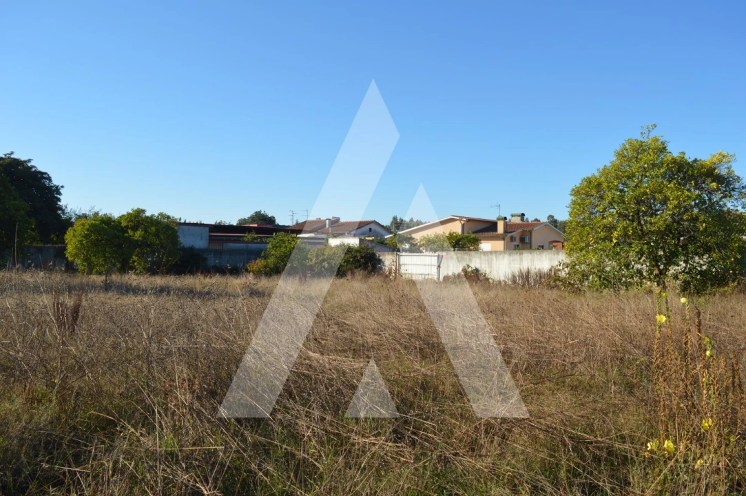 Moradia T3 para Venda em Trofa, Segadães e Lamas do Vouga Foto 33