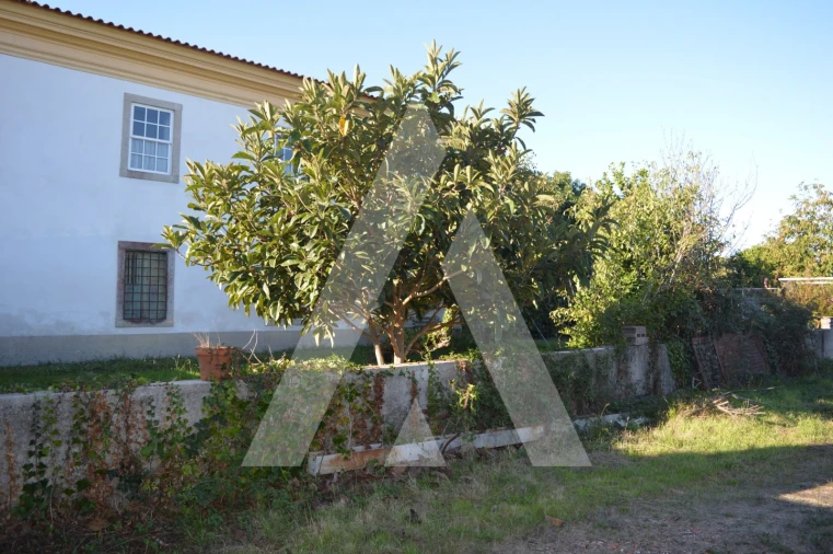 Moradia T3 para Venda em Trofa, Segadães e Lamas do Vouga Foto 28