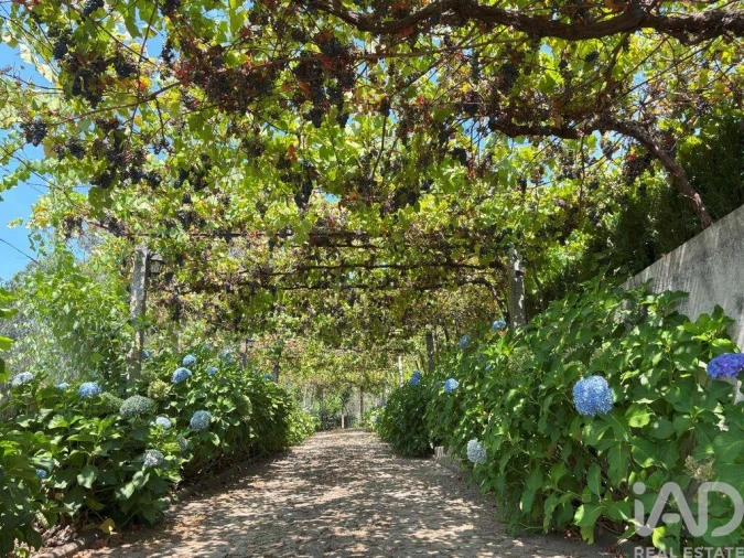 Moradia T4 para Venda em Esqueiros, Nevogilde e Travassós Foto 27