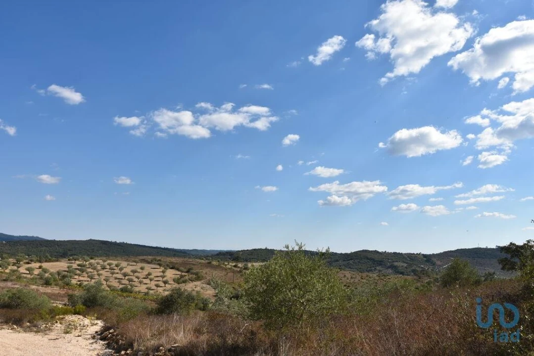 Terreno para Venda em Chãos Foto 6
