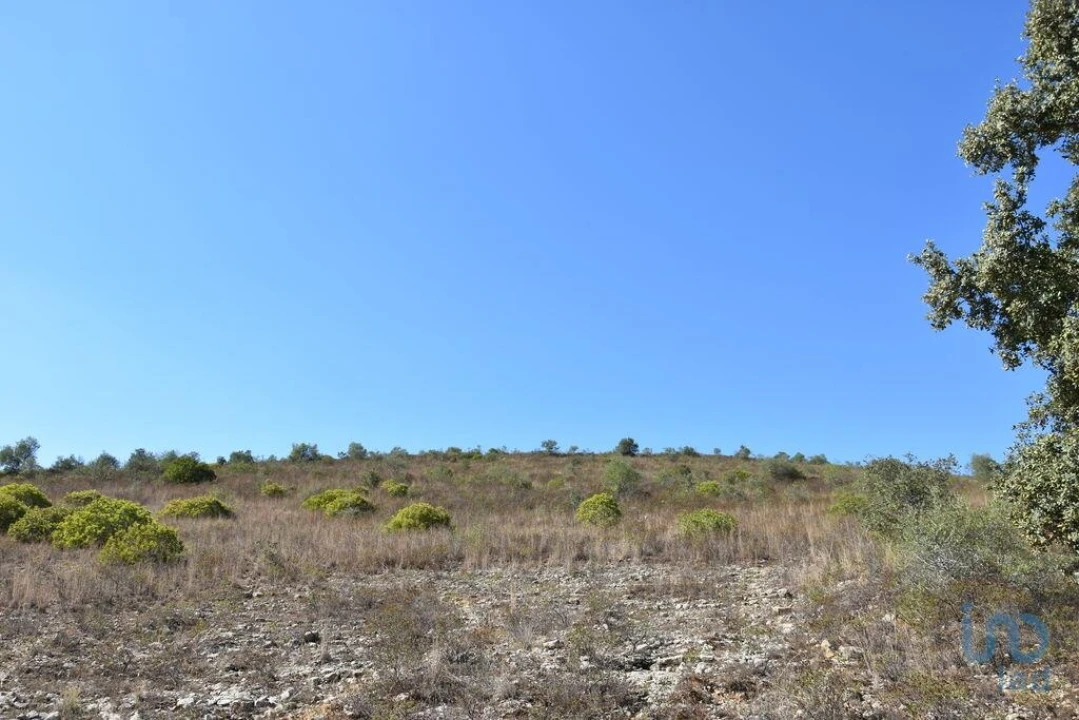 Terreno para Venda em Chãos Foto 10