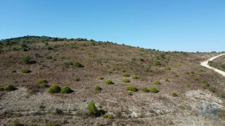 Terreno para Venda em Chãos Foto 7
