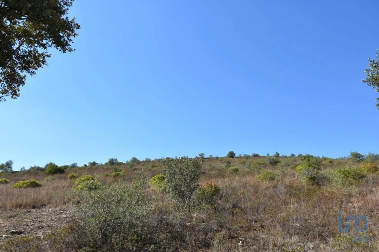 Terreno para Venda em Chãos Foto 12