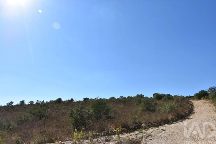 Terreno para Venda em Chãos Foto 17
