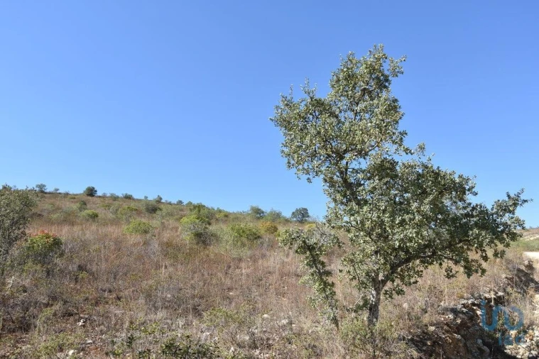 Terreno para Venda em Chãos Foto 11