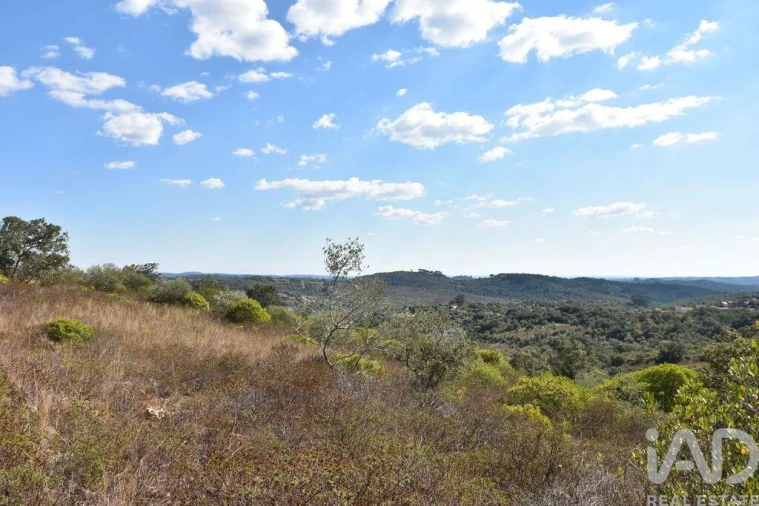 Terreno para Venda em Chãos Foto 26