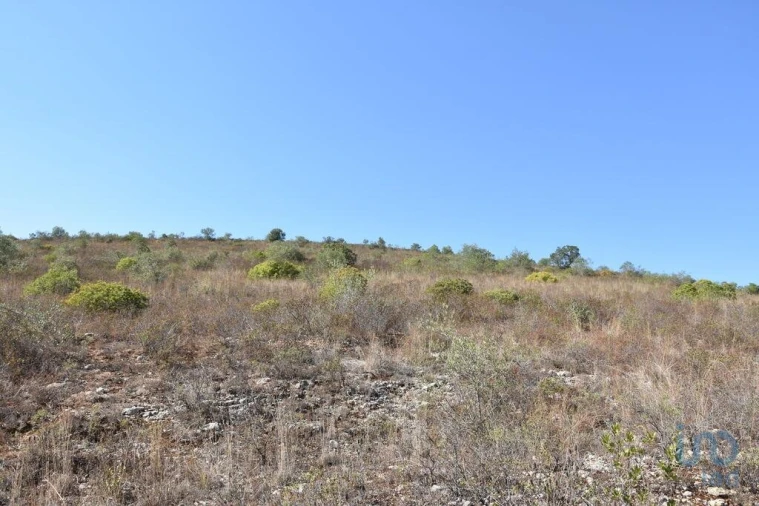 Terreno para Venda em Chãos Foto 13