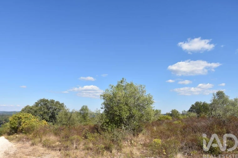 Terreno para Venda em Chãos Foto 23