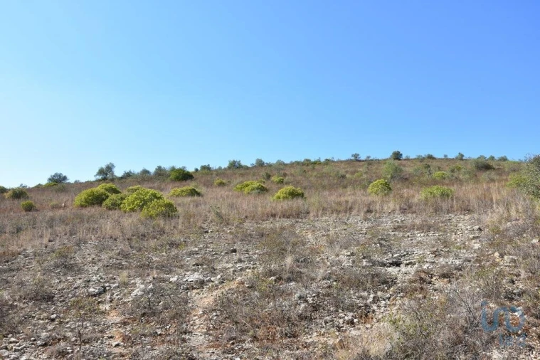 Terreno para Venda em Chãos Foto 8