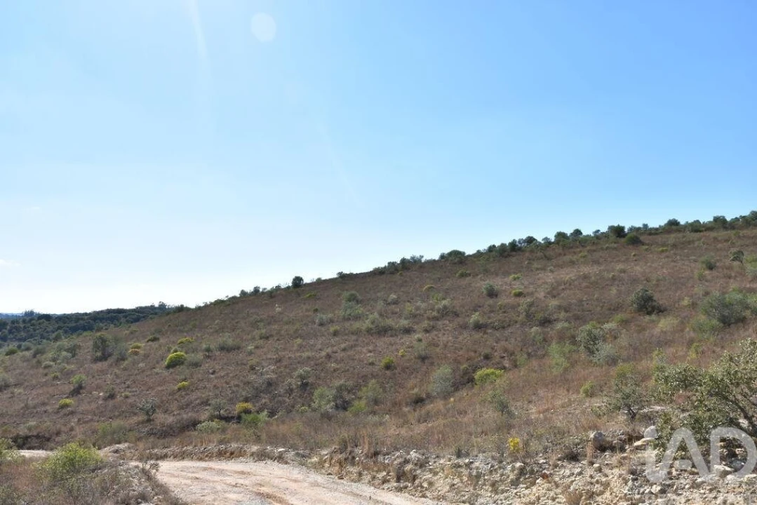 Terreno para Venda em Chãos Foto 16