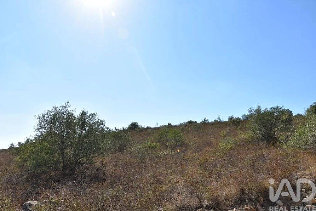 Terreno para Venda em Chãos Foto 20