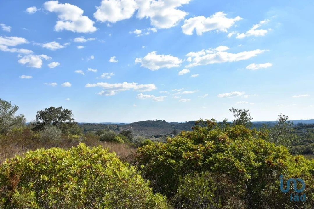 Terreno para Venda em Chãos Foto 4