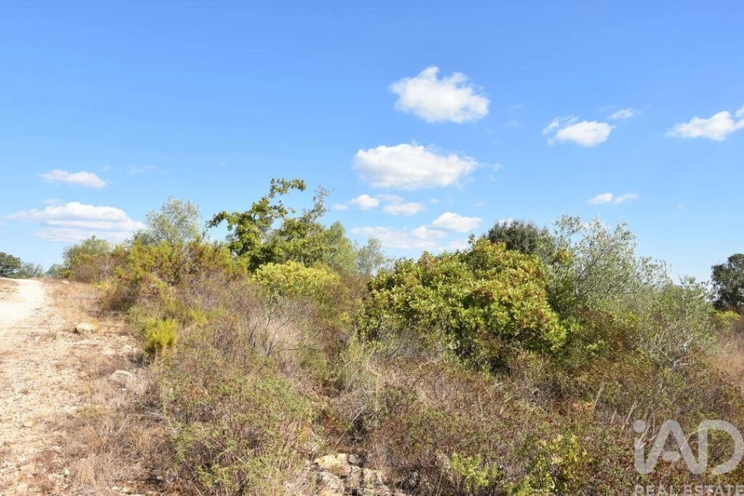 Terreno para Venda em Chãos Foto 28
