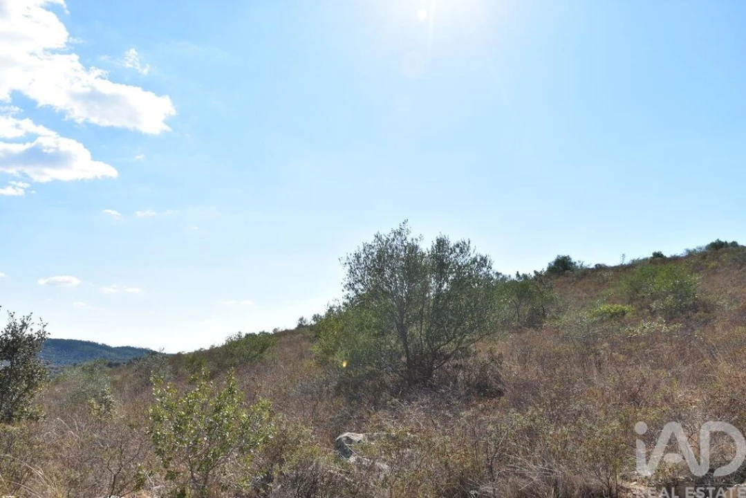 Terreno para Venda em Chãos Foto 18