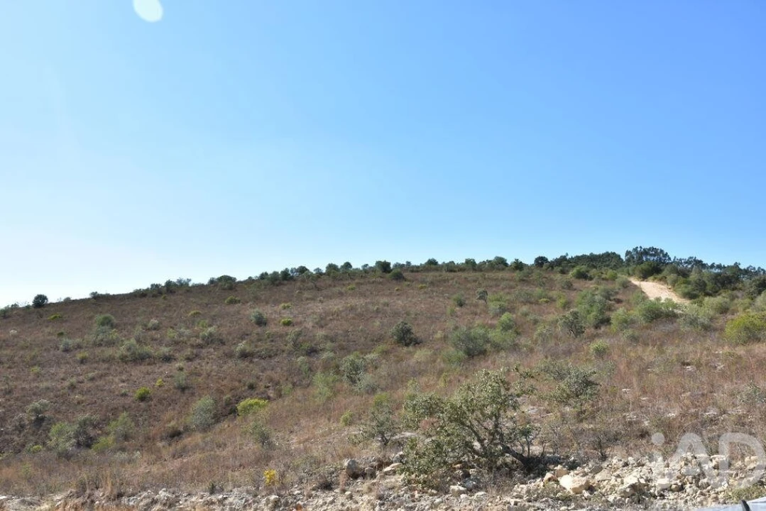 Terreno para Venda em Chãos Foto 15