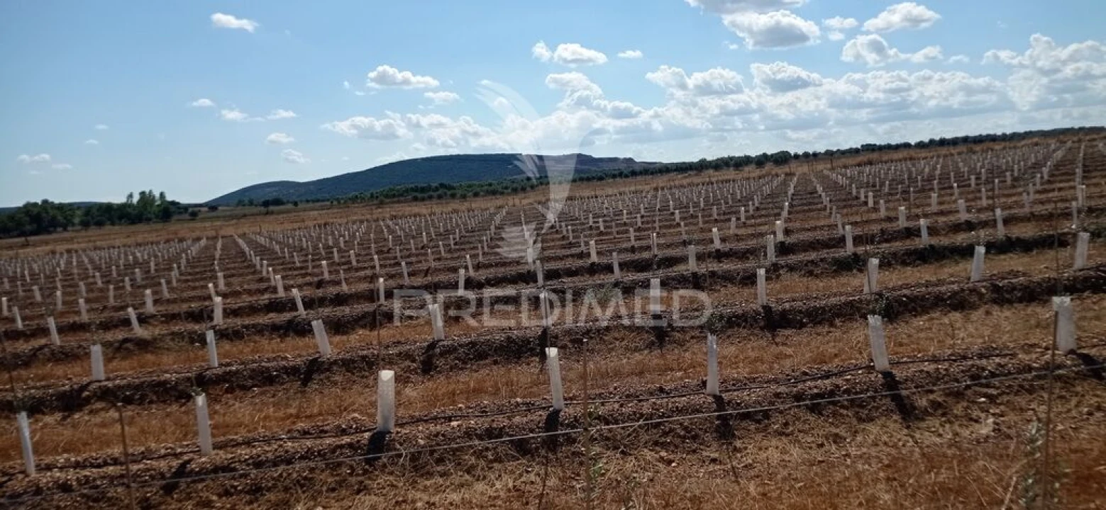 Quinta para Venda em Cano Foto 3