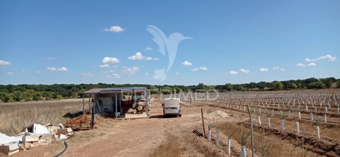 Quinta para Venda em Cano Foto 2