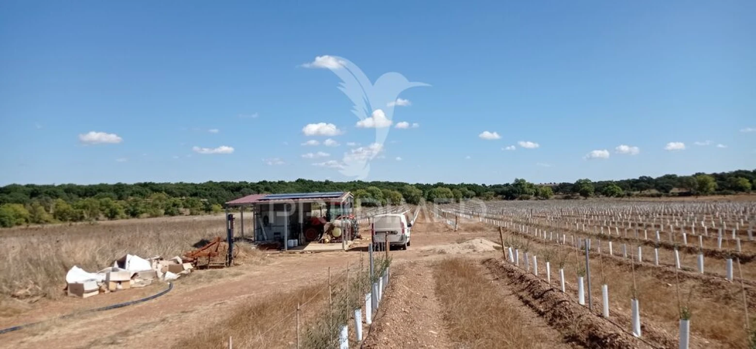 Quinta para Venda em Cano Foto 5