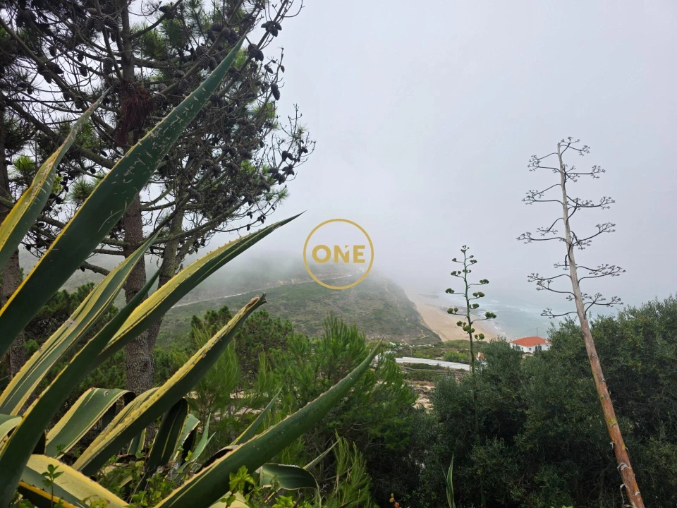 Apartamento T1 para Venda em Santa Maria e São Miguel, São Martinho, São Pedro Penaferrim Foto 8