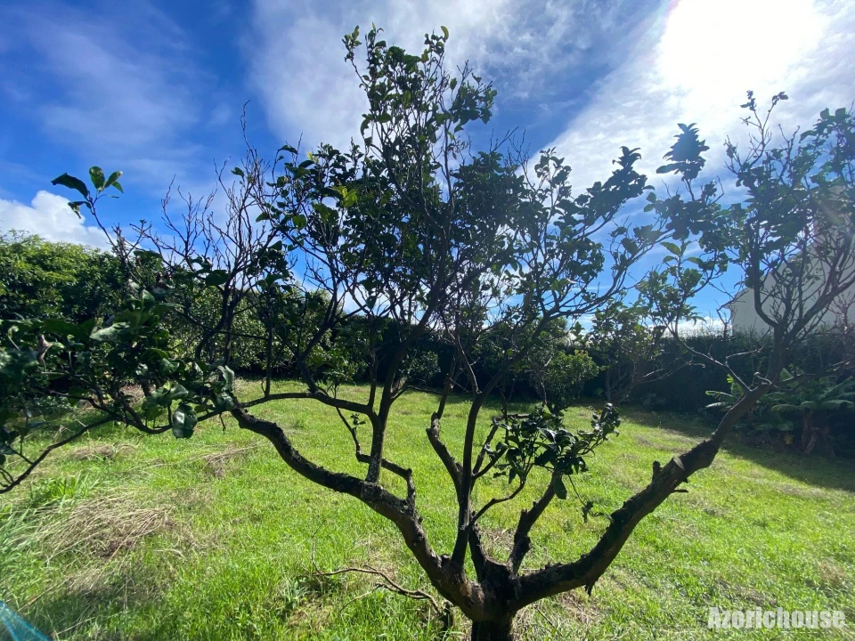 Terreno para Venda em Ponta Garça Foto 8
