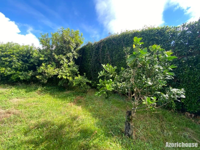 Terreno para Venda em Ponta Garça Foto 11
