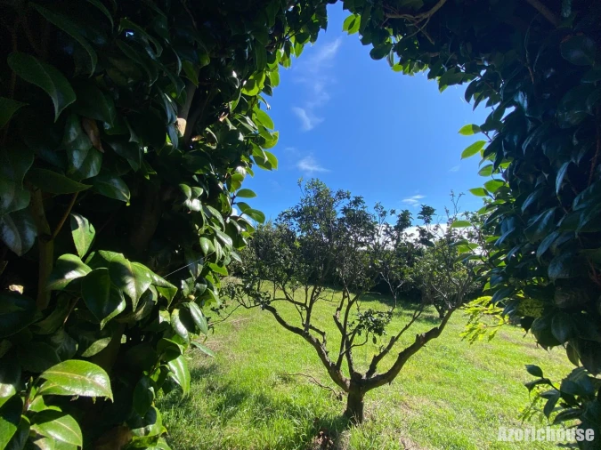 Terreno para Venda em Ponta Garça Foto 6