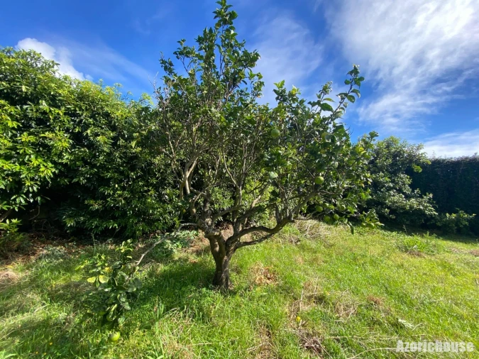 Terreno para Venda em Ponta Garça Foto 12