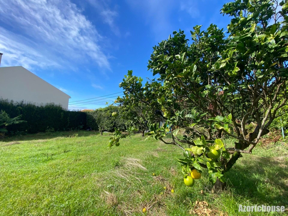 Terreno para Venda em Ponta Garça Foto 13