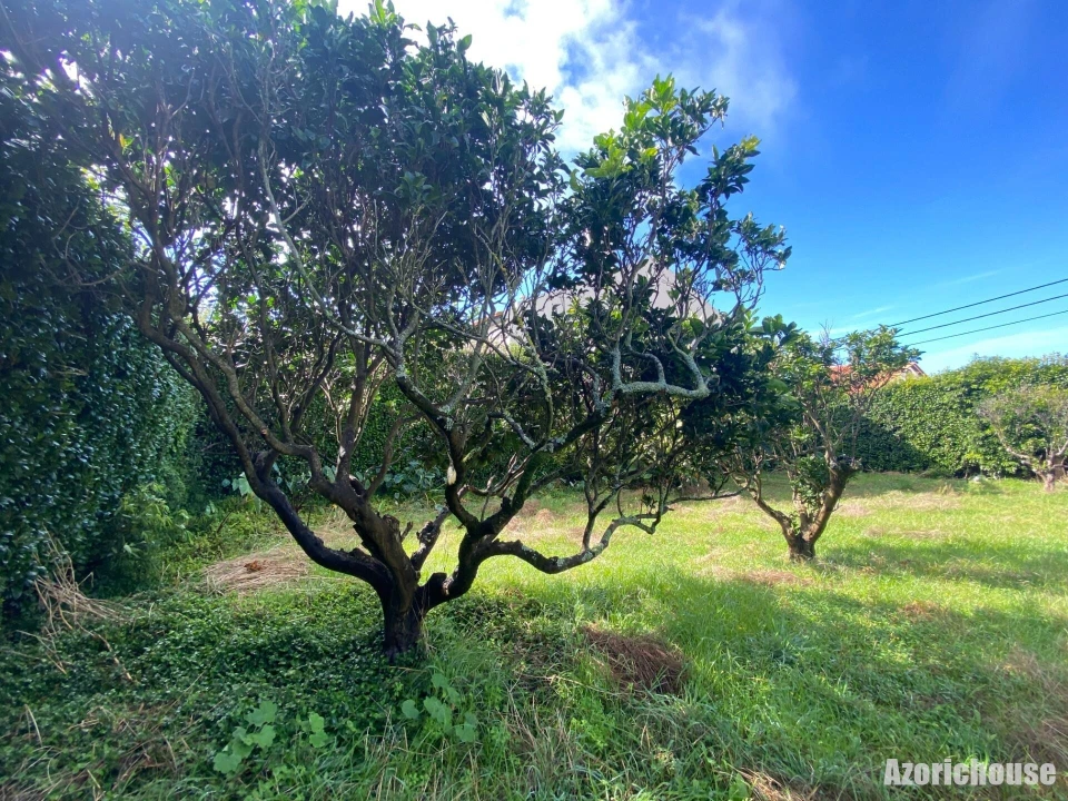 Terreno para Venda em Ponta Garça Foto 16