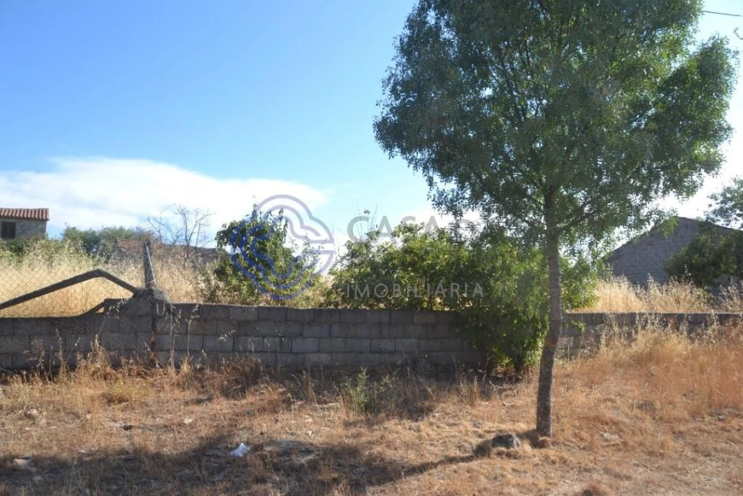 Terreno para Venda em Pinelo Foto 14