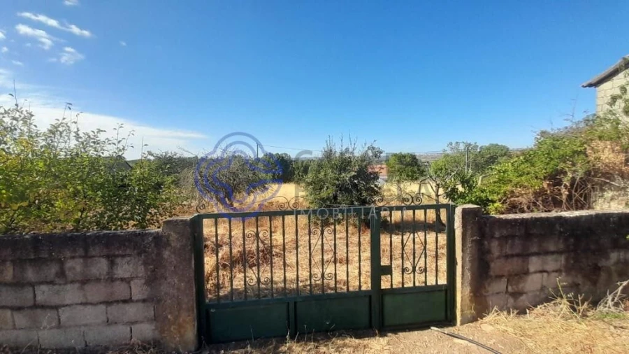 Terreno para Venda em Pinelo Foto 17