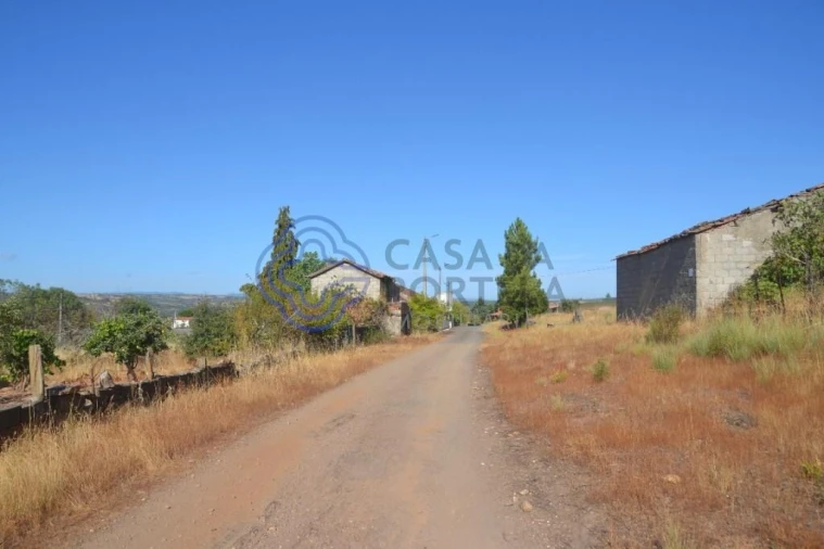 Terreno para Venda em Pinelo Foto 15