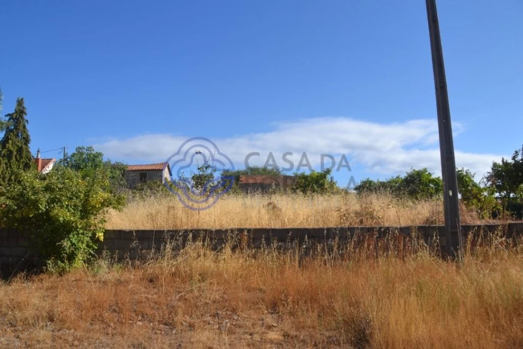 Terreno para Venda em Pinelo Foto 10