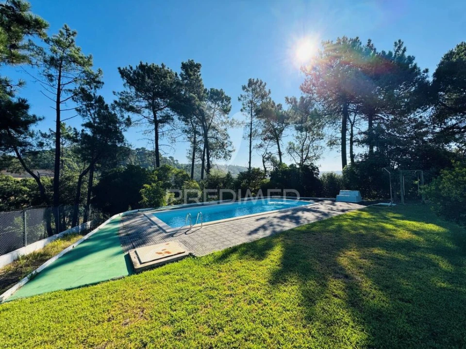 Moradia T6 para Venda em São João da Ribeira e Ribeira de São João Foto 8