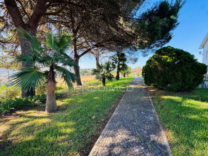 Moradia T6 para Venda em São João da Ribeira e Ribeira de São João Foto 6