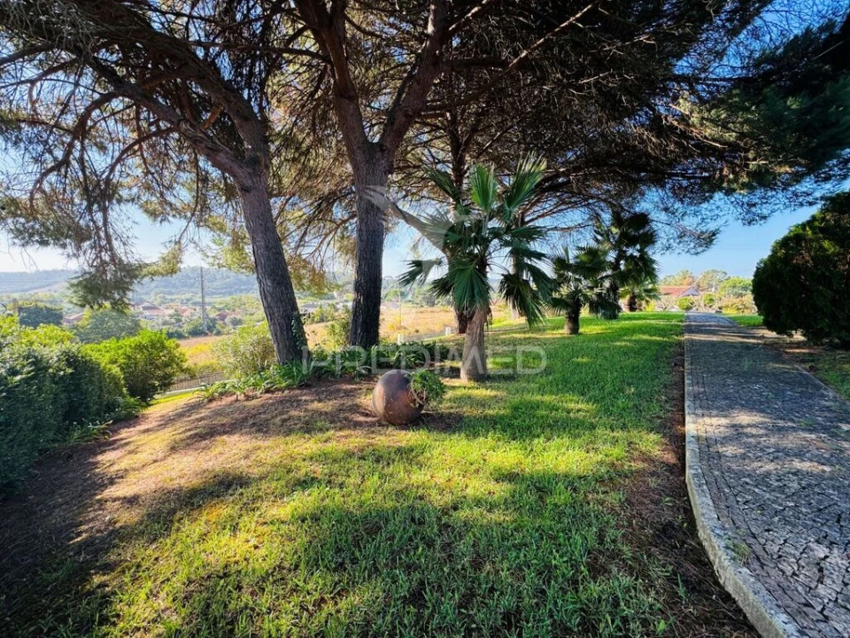 Moradia T6 para Venda em São João da Ribeira e Ribeira de São João Foto 5