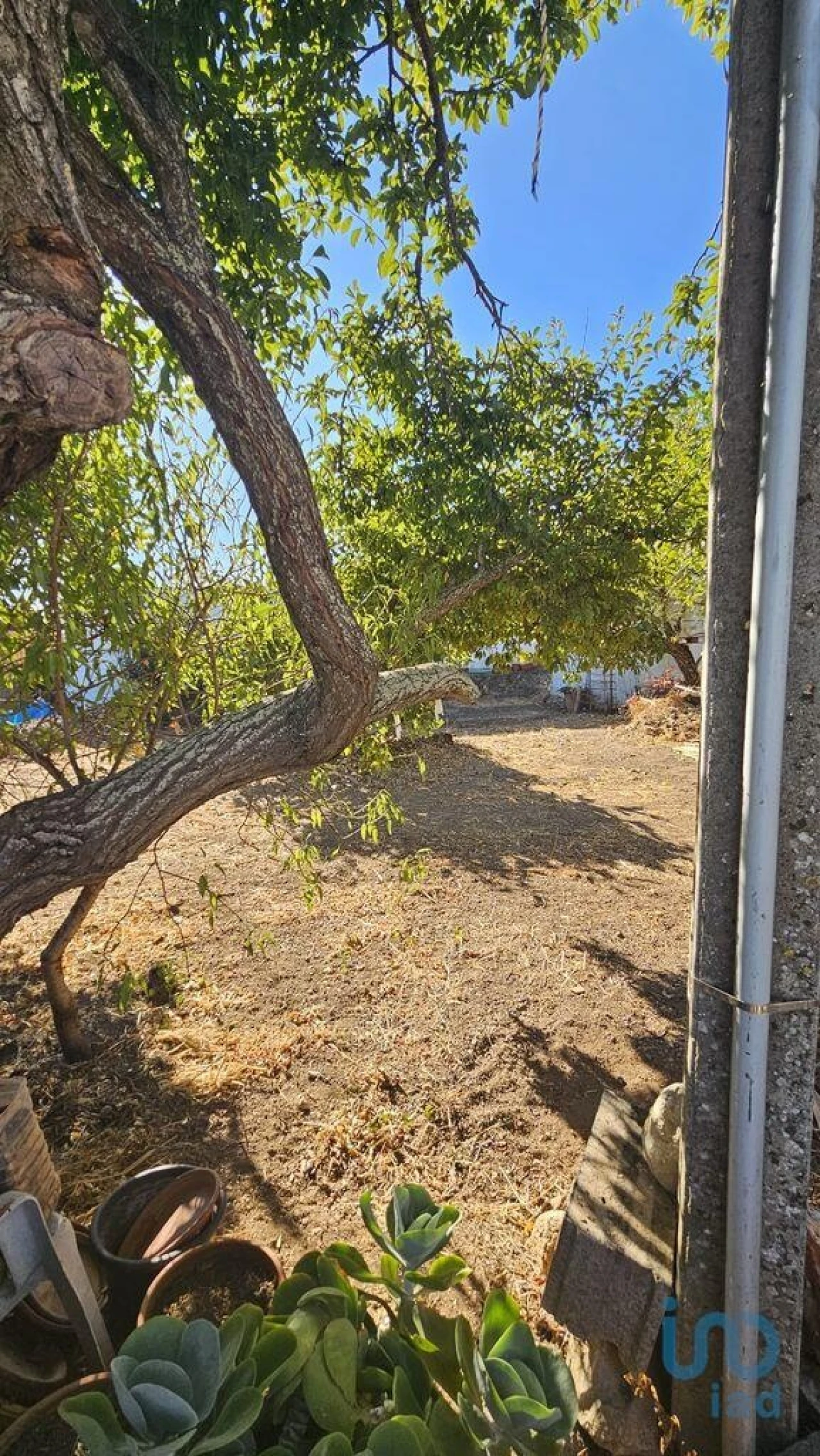 Terreno para Venda em Loule (São Clemente) Foto 3