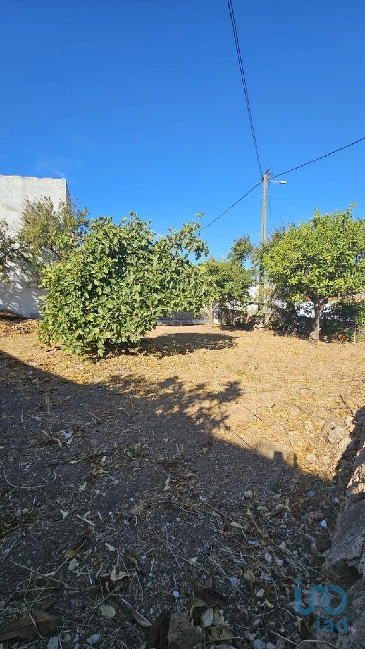Terreno para Venda em Loule (São Clemente) Foto 14