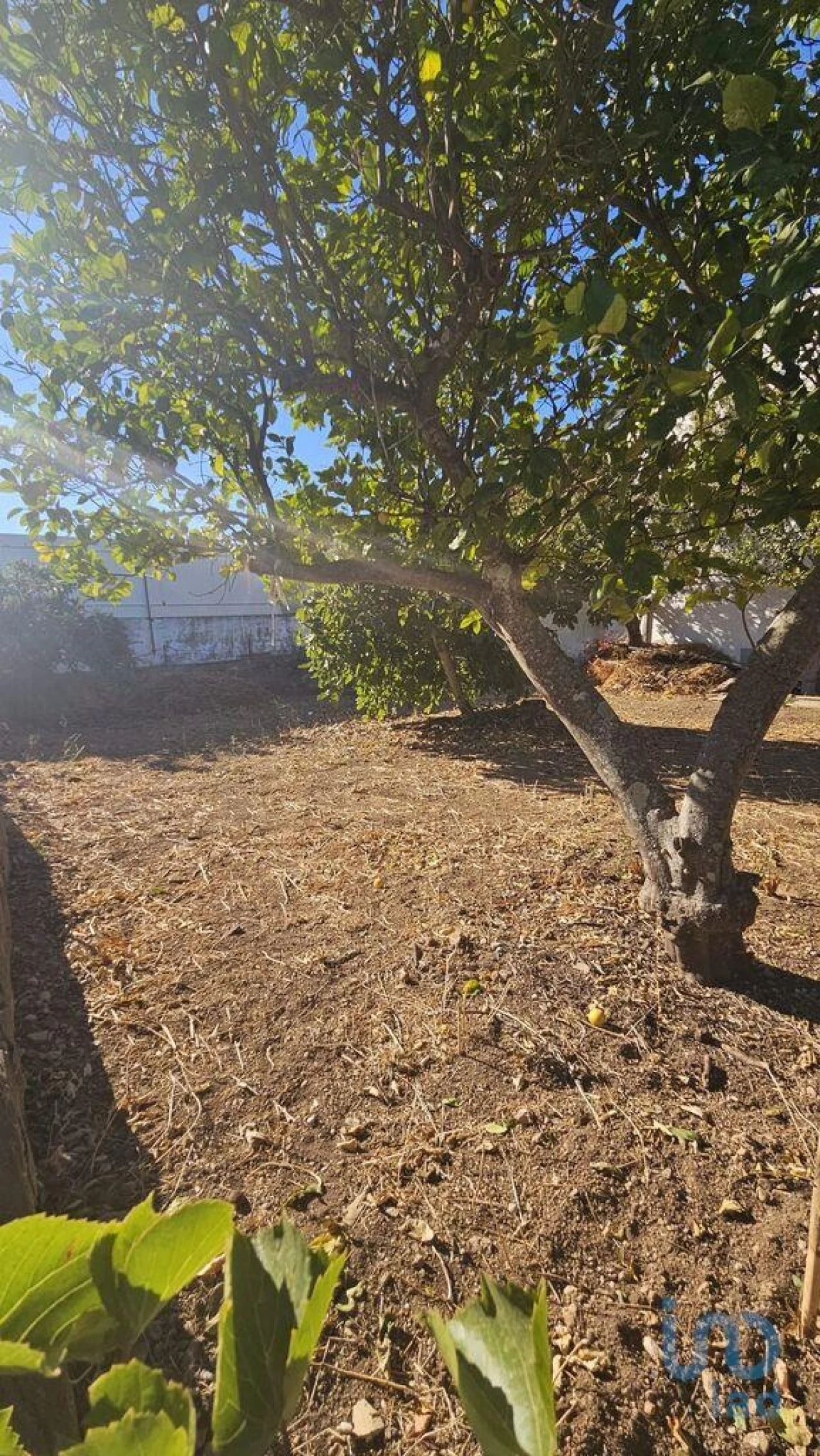 Terreno para Venda em Loule (São Clemente) Foto 10