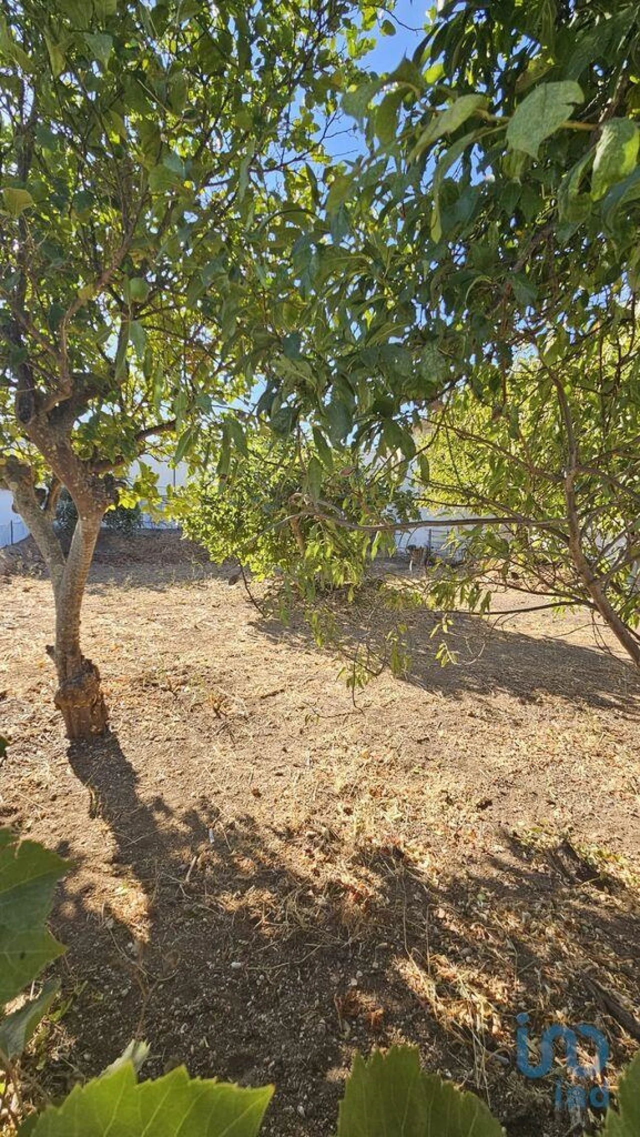 Terreno para Venda em Loule (São Clemente) Foto 7