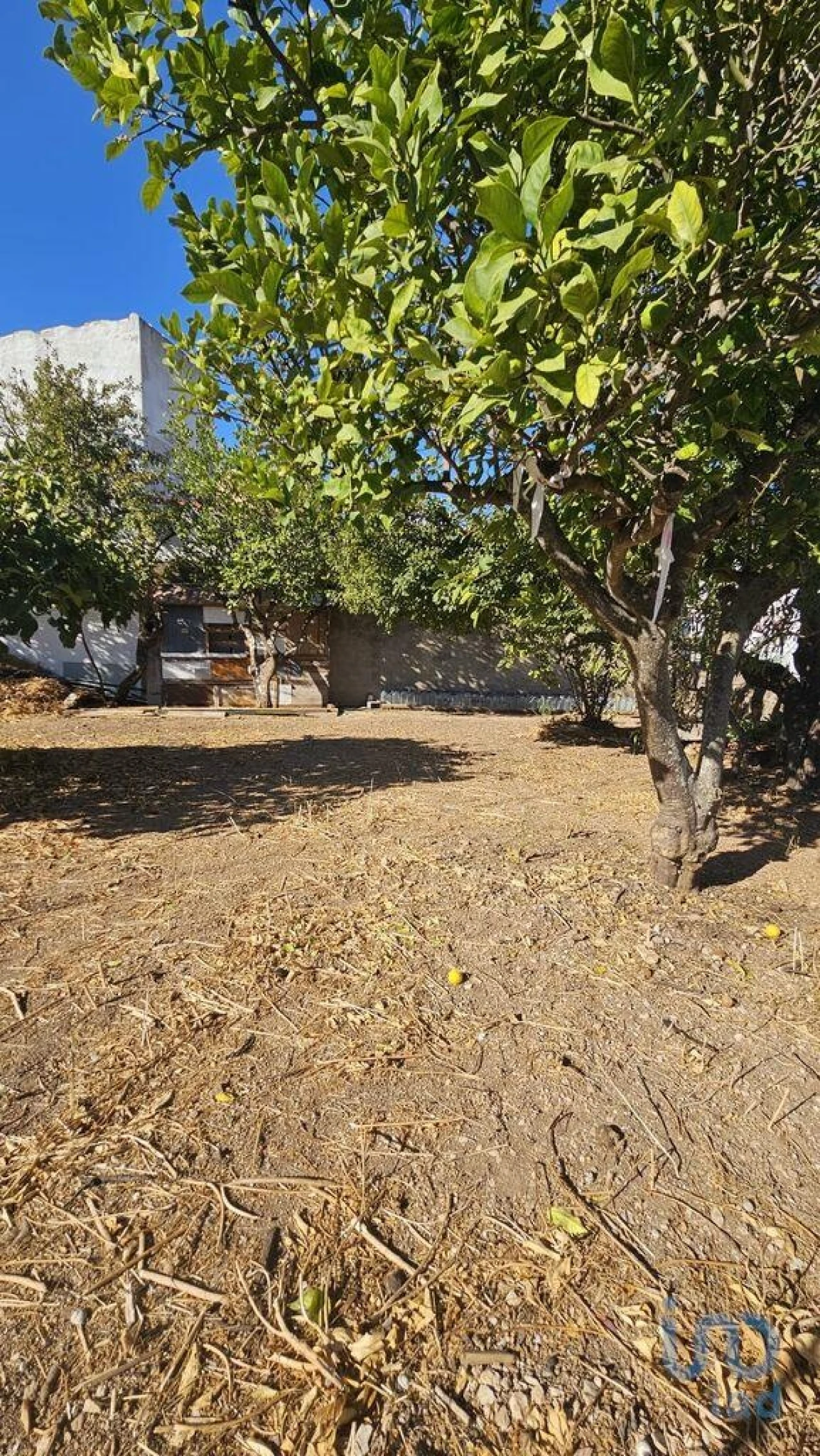 Terreno para Venda em Loule (São Clemente) Foto 8