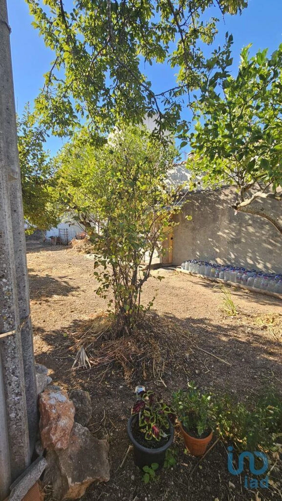 Terreno para Venda em Loule (São Clemente) Foto 2