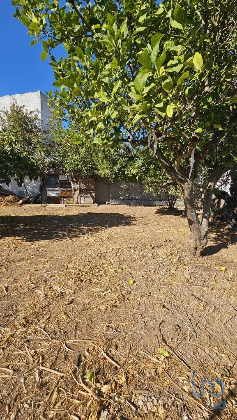 Terreno para Venda em Loule (São Clemente) Foto 8