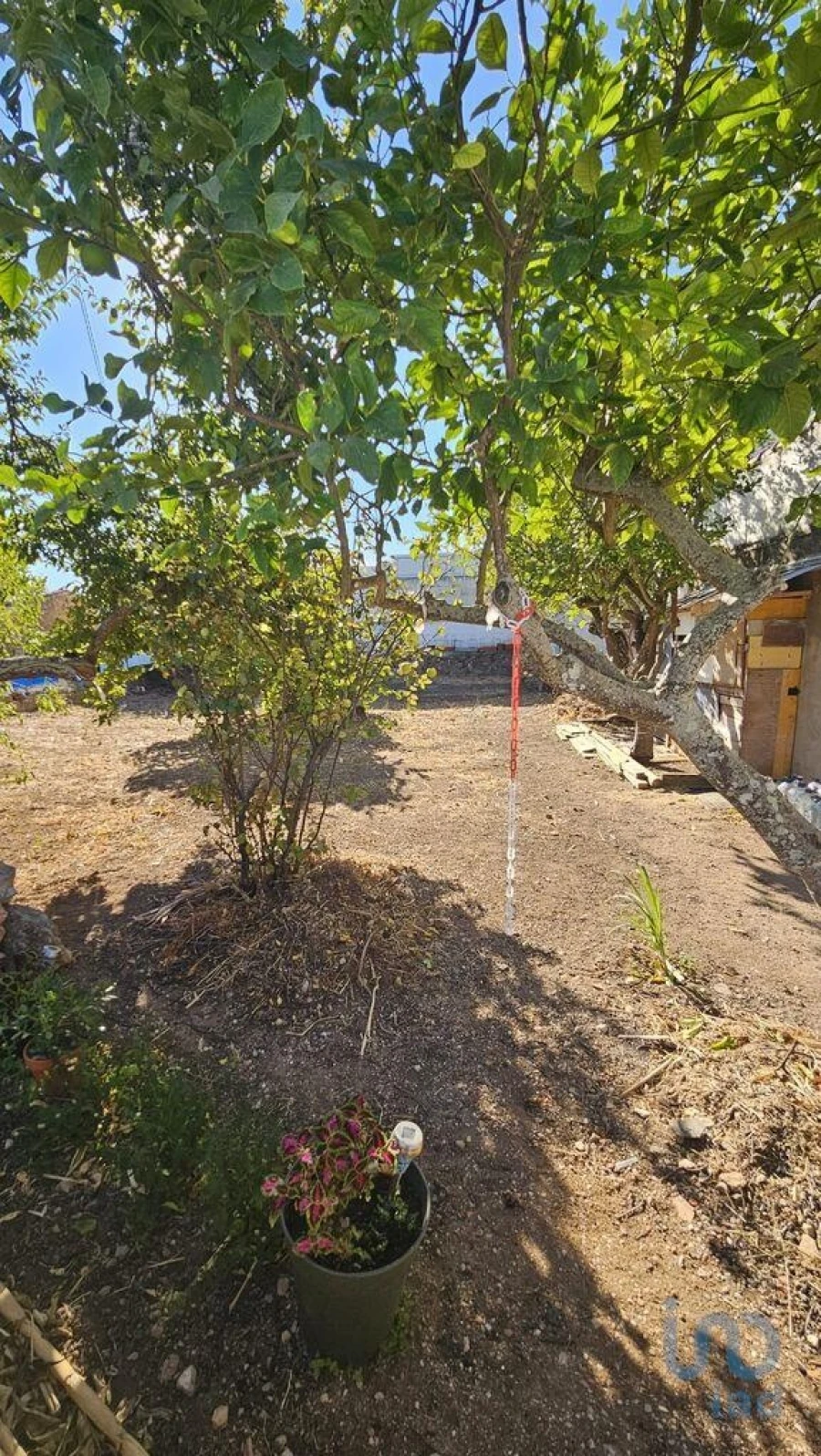 Terreno para Venda em Loule (São Clemente) Foto 5