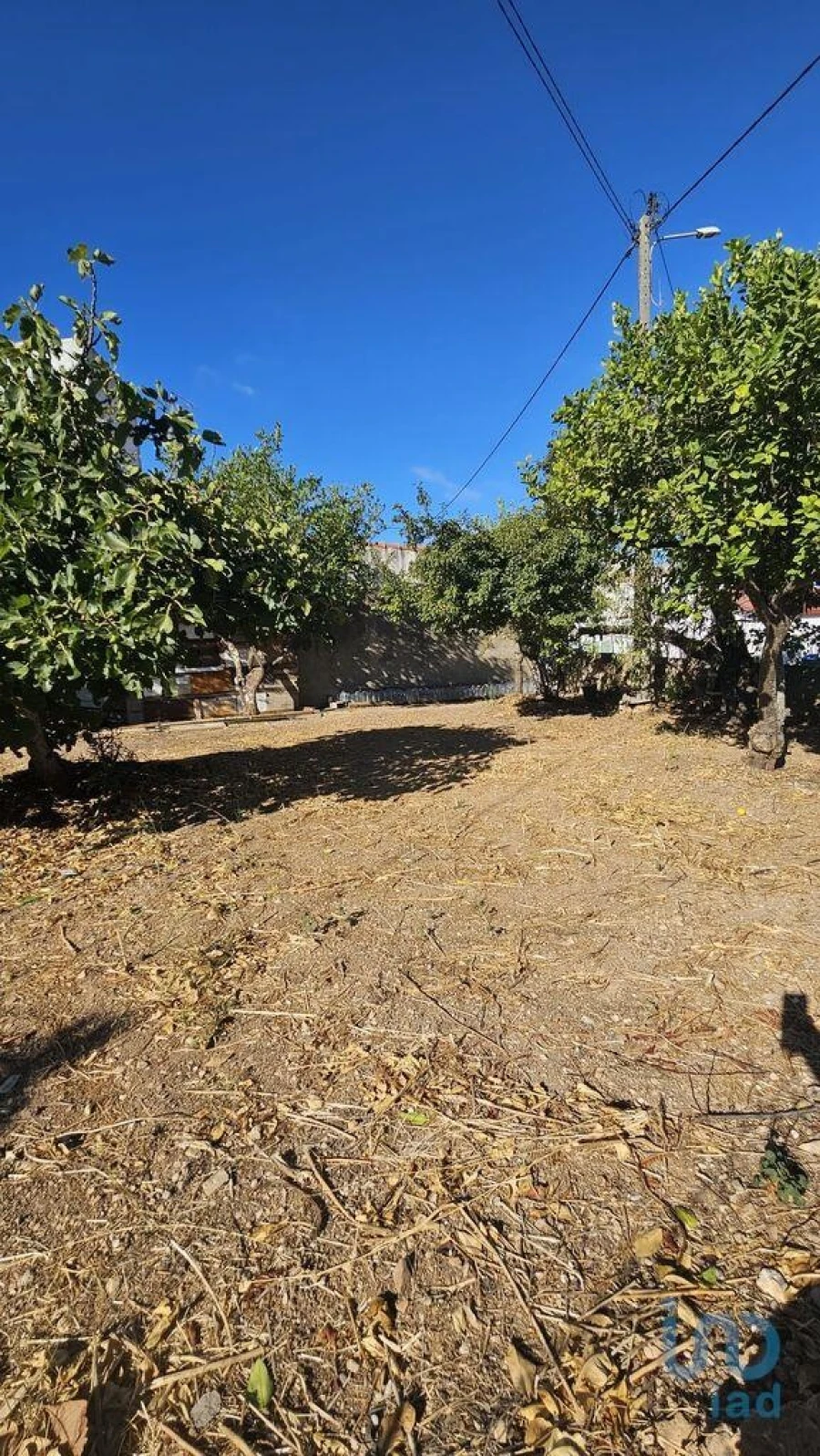 Terreno para Venda em Loule (São Clemente)