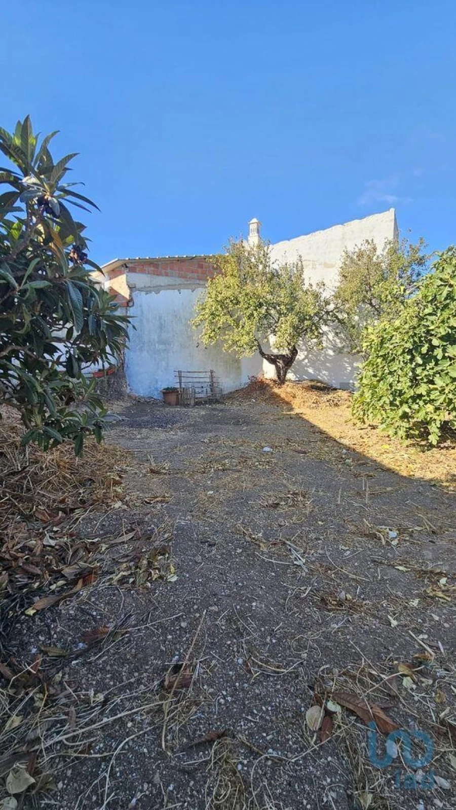 Terreno para Venda em Loule (São Clemente) Foto 13