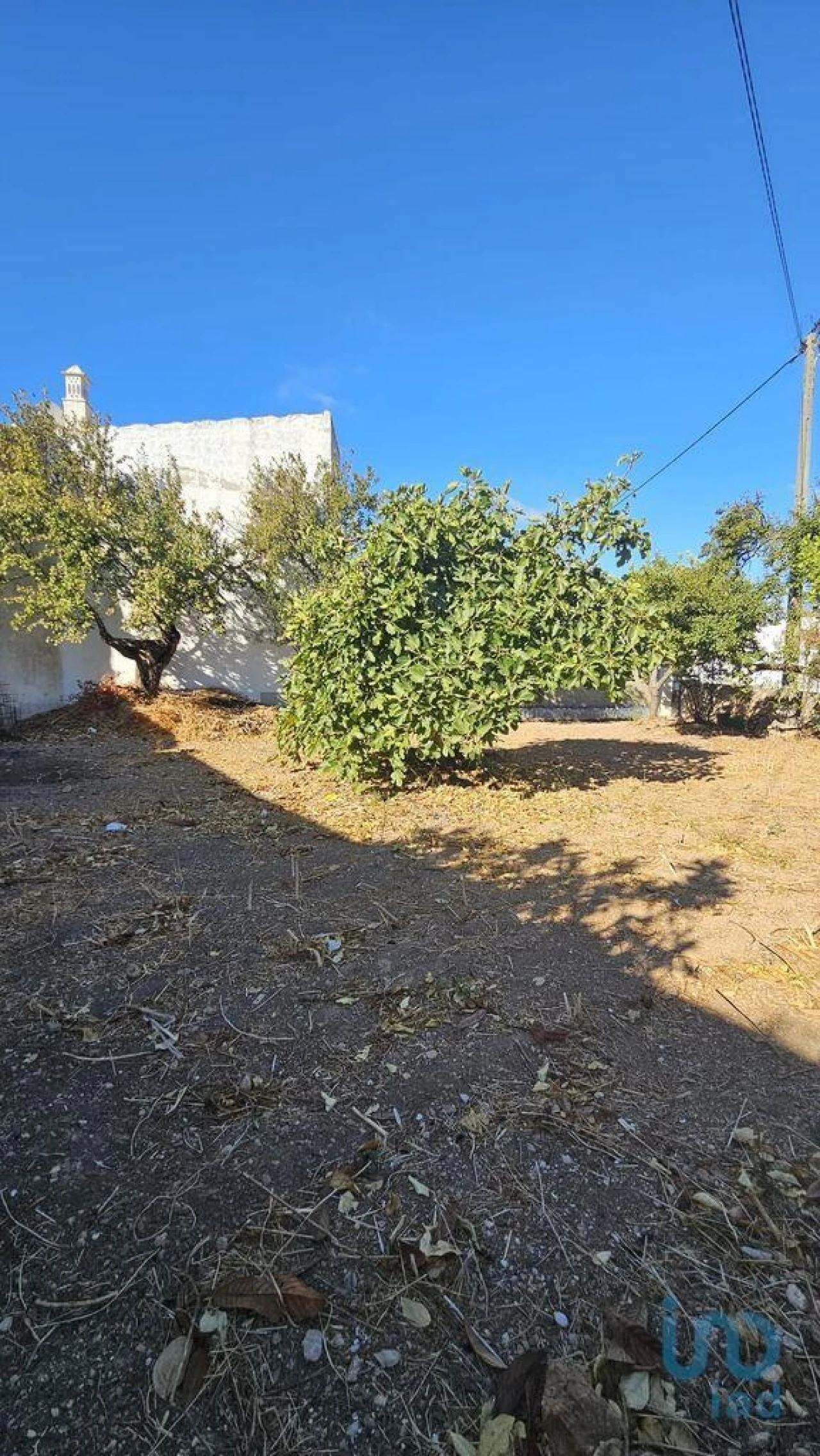 Terreno para Venda em Loule (São Clemente) Foto 12