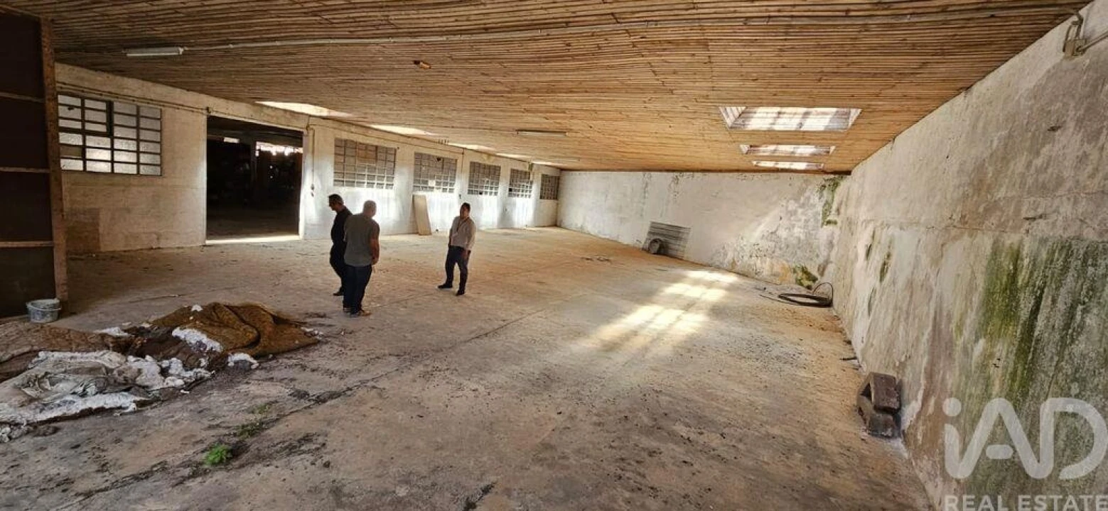 Loja para Venda em Minde Foto 13